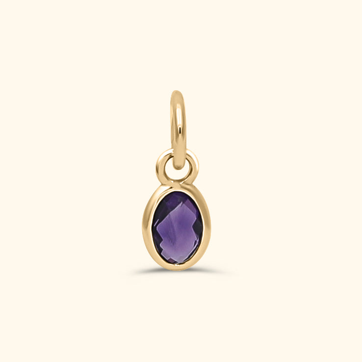 Amethyst Birthstone Hanger van 14 karaat met paarse edelsteen – geboortesteen februari, Josephina Jewelry